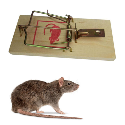 Reusable Wooden Mouse Traps