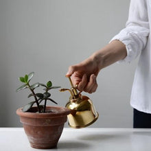 Load image into Gallery viewer, Vintage Brass Plant Flower Watering Pot