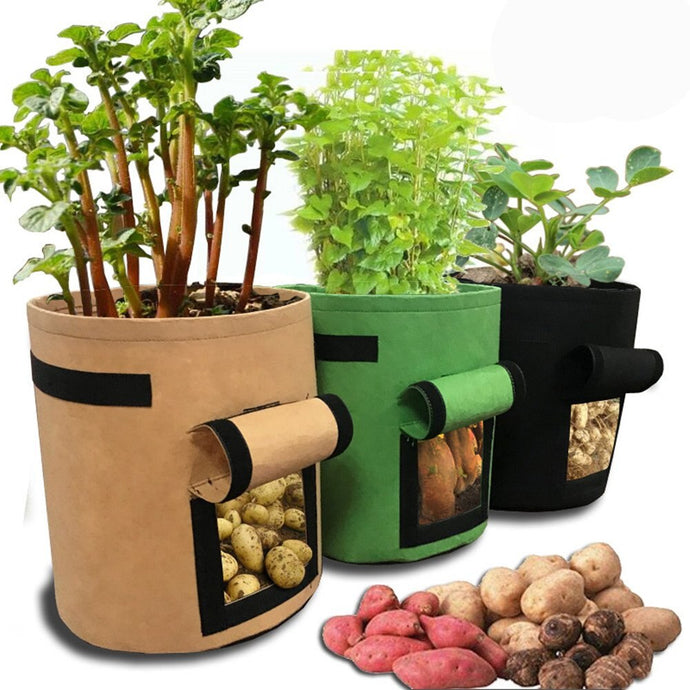 Potato Grow/Planter Bag